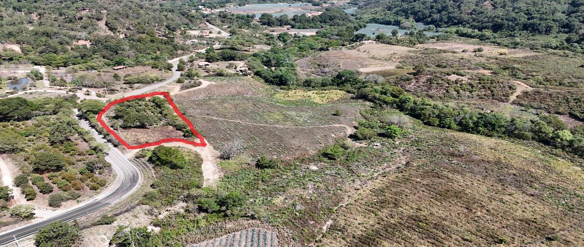 Foto de terreno habitacional en carretera fed 544 kilometro 36 municipio san sebastian del oes , estancia de landeros, san sebastián del oeste, jalisco, 29281206 foto 03 Foto de terreno habitacional en venta en carretera fed 544 kilometro 36 municipio san sebastian del oes , estancia de landeros, san sebastián del oeste, jalisco, 29281206 No. 03