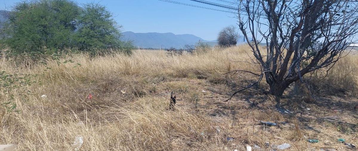 Foto de terreno habitacional en venta en carretera federa a colima , acatlán de juárez centro, acatlán de juárez, jalisco, 0 No. 05