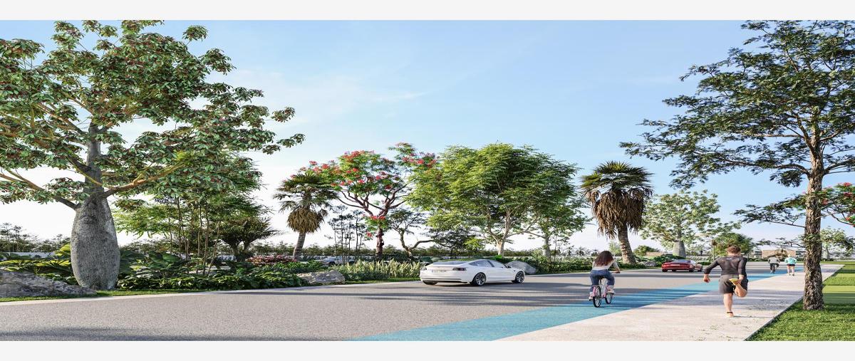 Foto de terreno habitacional en venta en carretera federal 1000, campestre, solidaridad, quintana roo, 0 No. 03