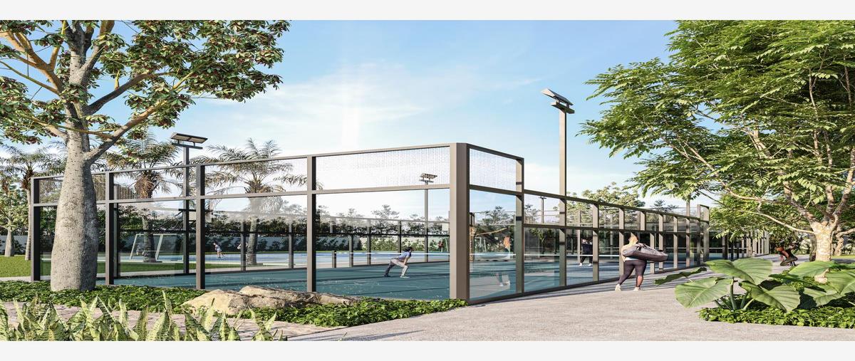 Foto de terreno habitacional en venta en carretera federal 1000, campestre, solidaridad, quintana roo, 0 No. 05