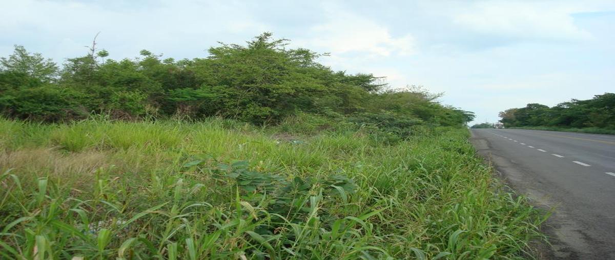Foto de terreno industrial en carretera federal 145 kilometro 19, tierra blanca centro, tierra blanca, veracruz de ignacio de la llave, 26171892 foto 03 Foto de terreno industrial en venta en carretera federal 145 kilometro 19, tierra blanca centro, tierra blanca, veracruz de ignacio de la llave, 26171892 No. 03