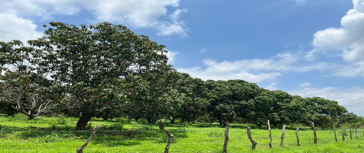 Foto de rancho en venta en carretera federal #15 mazatlán-tepic , potrerillos, rosario, sinaloa, 28308845 No. 03
