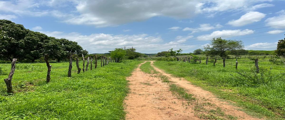Foto de rancho en venta en carretera federal #15 mazatlán-tepic , potrerillos, rosario, sinaloa, 28308845 No. 04