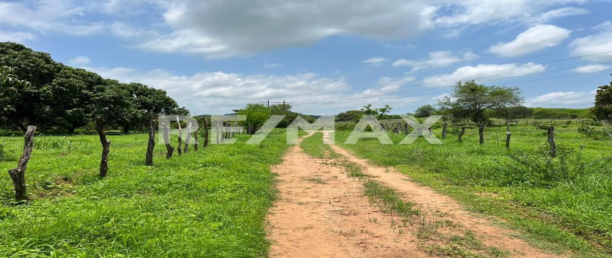 Foto de rancho en venta en carretera federal #15 mazatlán-tepic , potrerillos, rosario, sinaloa, 0 No. 04