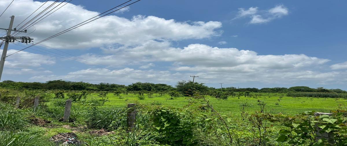 Foto de rancho en venta en carretera federal #15 mazatlán-tepic , potrerillos, rosario, sinaloa, 28308845 No. 05