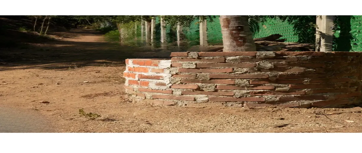 Foto de terreno comercial en venta en carretera federal 175 sin numero, san agustinillo, santa maría tonameca, oaxaca, 0 No. 03