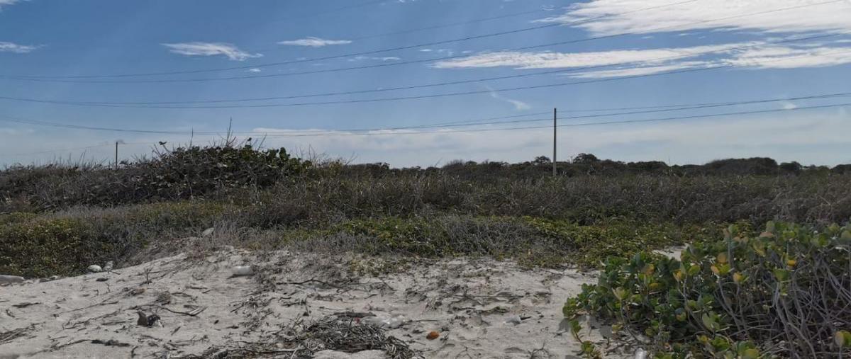 Foto de terreno habitacional en venta en carretera federal 180 kilometro 60 , sabancuy centro, carmen, campeche, 19846818 No. 03