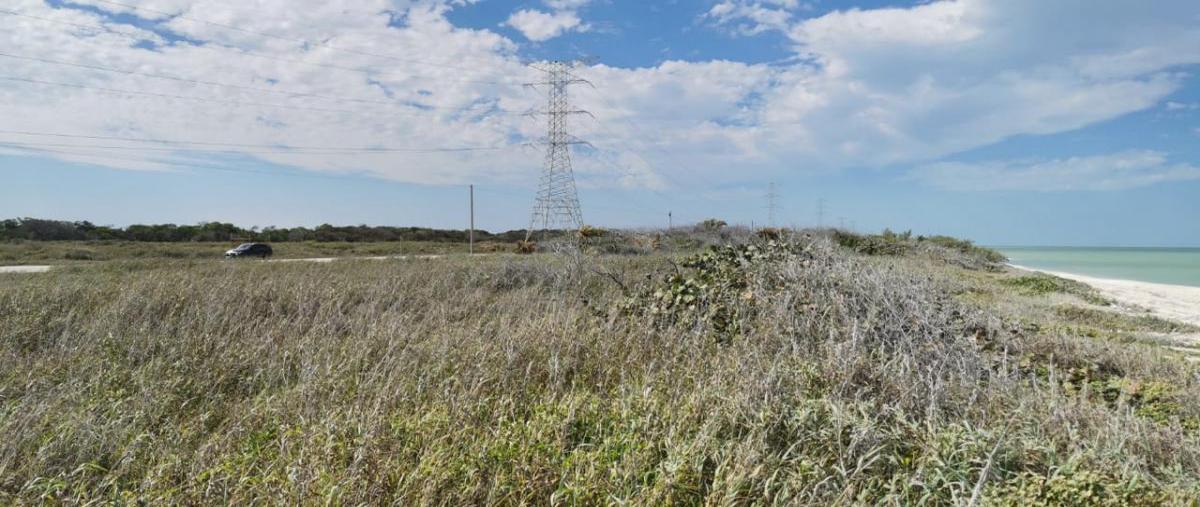 Foto de terreno habitacional en venta en carretera federal 180 kilometro 60 , sabancuy centro, carmen, campeche, 19846818 No. 04