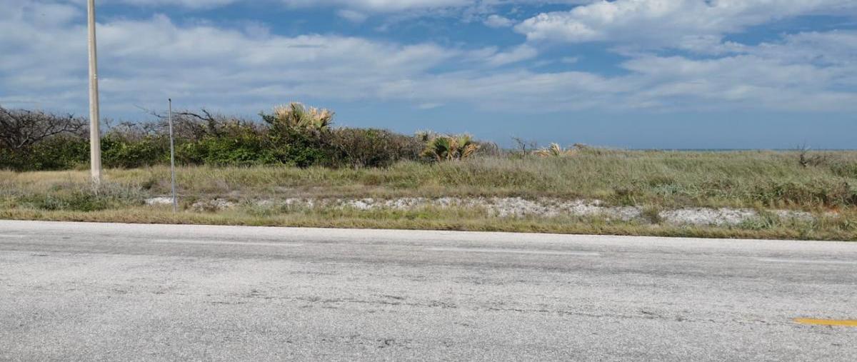 Foto de terreno habitacional en venta en carretera federal 180 kilometro 60 , sabancuy centro, carmen, campeche, 19846818 No. 05