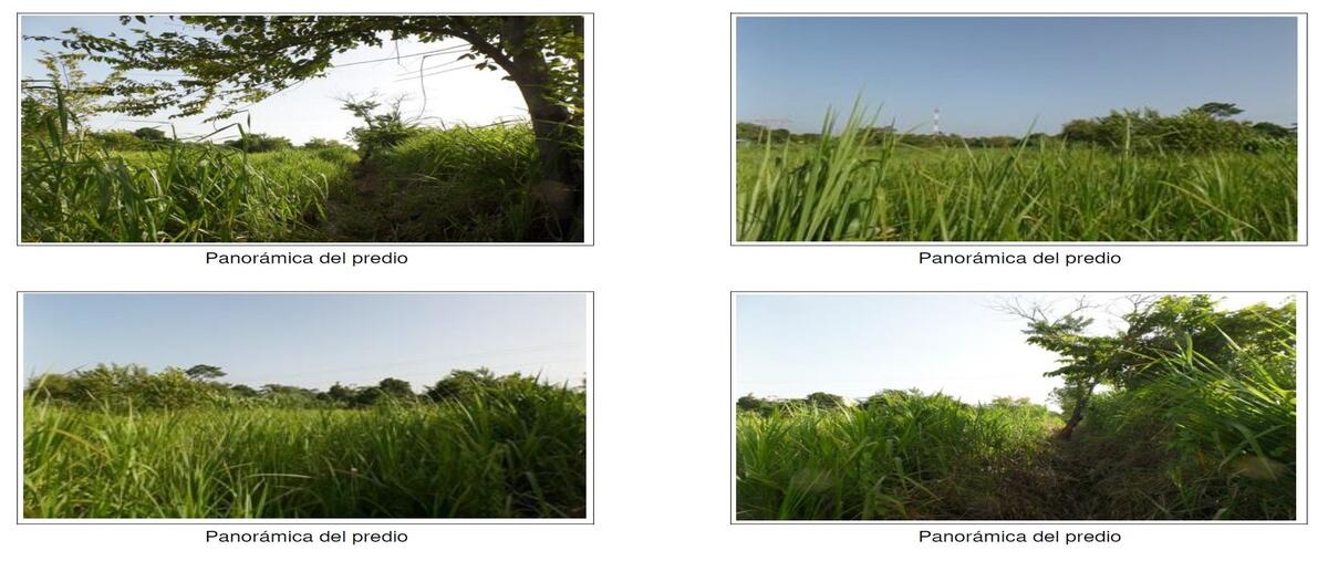 Foto de terreno industrial en venta en carretera federal 180 , villahermosa centro, centro, tabasco, 30516243 No. 04