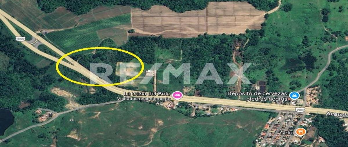 Foto de terreno habitacional en venta en carretera federal 200 , lagartero, santa maría tonameca, oaxaca, 0 No. 03