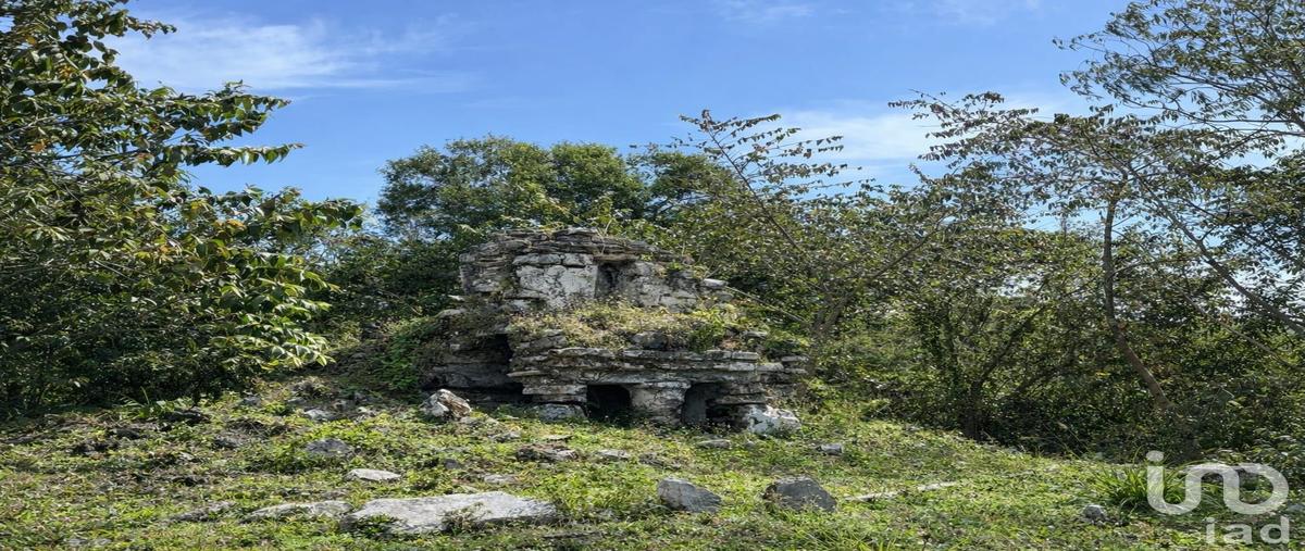 Foto de terreno comercial en venta en carretera federal 307 chetumal-puerto juárez , punta chenyunyun, solidaridad, quintana roo, 30655474 No. 03