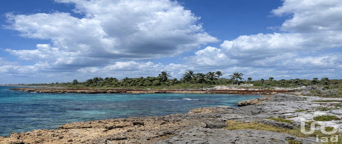 Foto de terreno comercial en venta en carretera federal 307 chetumal-puerto juárez , punta chenyunyun, solidaridad, quintana roo, 30655474 No. 04