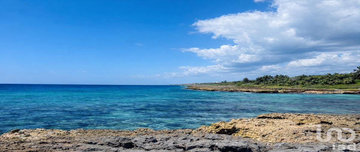 Foto de terreno comercial en venta en carretera federal 307 chetumal-puerto juárez , punta chenyunyun, solidaridad, quintana roo, 30655474 No. 05