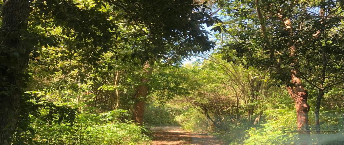 Foto de terreno habitacional en venta en carretera federal 307 , playa del carmen centro, solidaridad, quintana roo, 0 No. 04