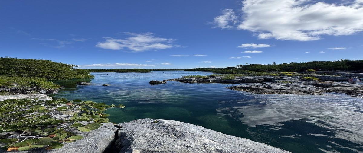 Foto de rancho en carretera federal 307km 256.3 , akumal, tulum, quintana roo, 0 foto 01 Foto de rancho en venta en carretera federal 307km 256.3 , akumal, tulum, quintana roo, 0 No. 01