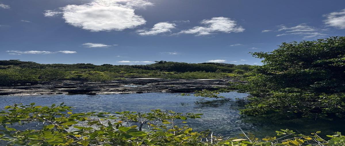Foto de rancho en carretera federal 307km 256.3 , akumal, tulum, quintana roo, 30798069 foto 02 Foto de rancho en venta en carretera federal 307km 256.3 , akumal, tulum, quintana roo, 30798069 No. 02