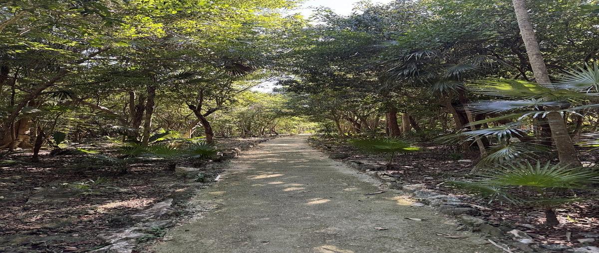 Foto de rancho en carretera federal 307km 256.3 , akumal, tulum, quintana roo, 30798069 foto 03 Foto de rancho en venta en carretera federal 307km 256.3 , akumal, tulum, quintana roo, 30798069 No. 03