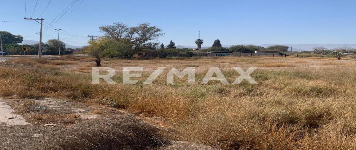 Foto de terreno comercial en carretera federal 40 lote 11 , ciudad juárez, lerdo, durango, 29011846 foto 03 Foto de terreno comercial en venta en carretera federal 40 lote 11 , ciudad juárez, lerdo, durango, 29011846 No. 03