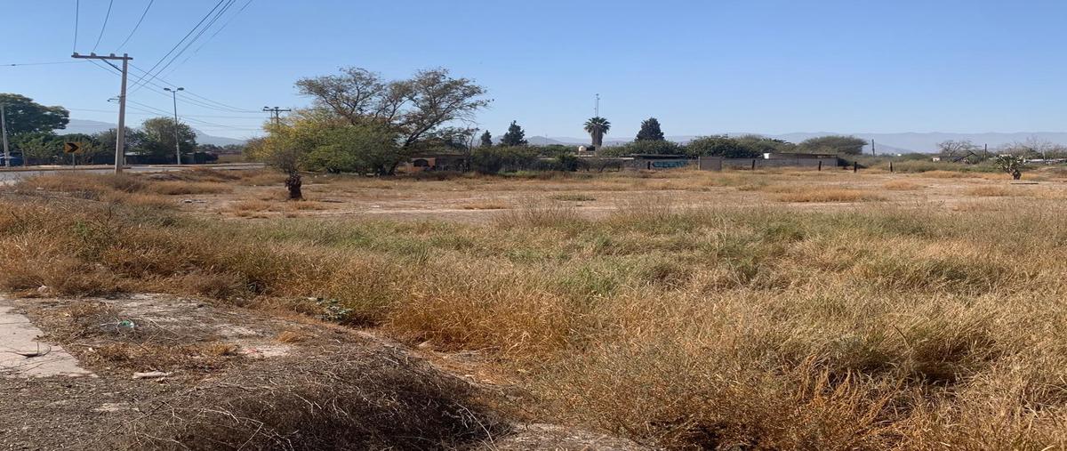 Foto de terreno comercial en venta en carretera federal 40 lote 11 , ciudad juárez, lerdo, durango, 29011846 No. 04