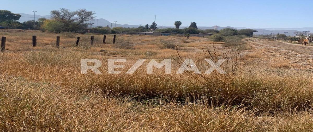 Foto de terreno comercial en carretera federal 40 lote 11 , ciudad juárez, lerdo, durango, 29011846 foto 05 Foto de terreno comercial en venta en carretera federal 40 lote 11 , ciudad juárez, lerdo, durango, 29011846 No. 05