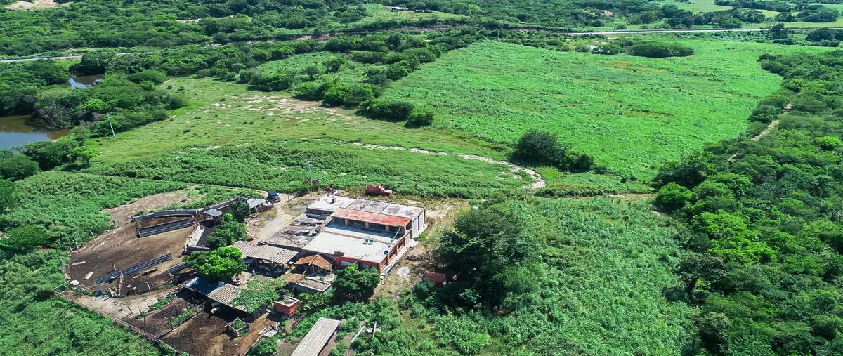 Foto de rancho en venta en carretera federal 40d mazatlán-durango , concordia, concordia, sinaloa, 27967094 No. 03