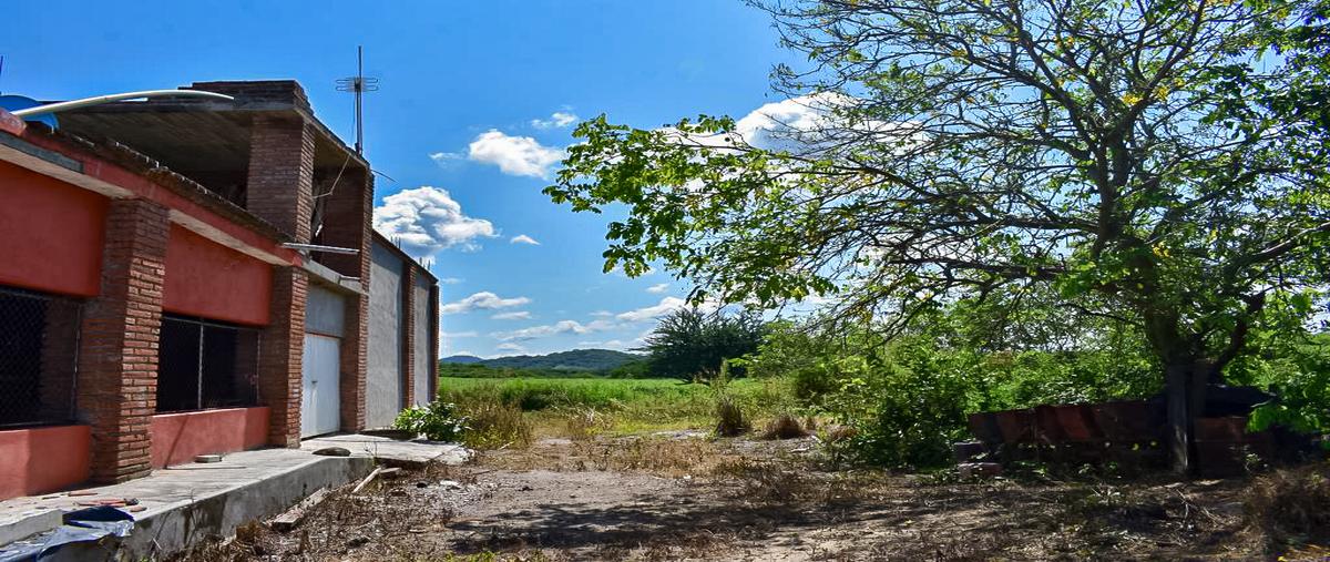 Foto de rancho en venta en carretera federal 40d mazatlán-durango , concordia, concordia, sinaloa, 27967094 No. 04