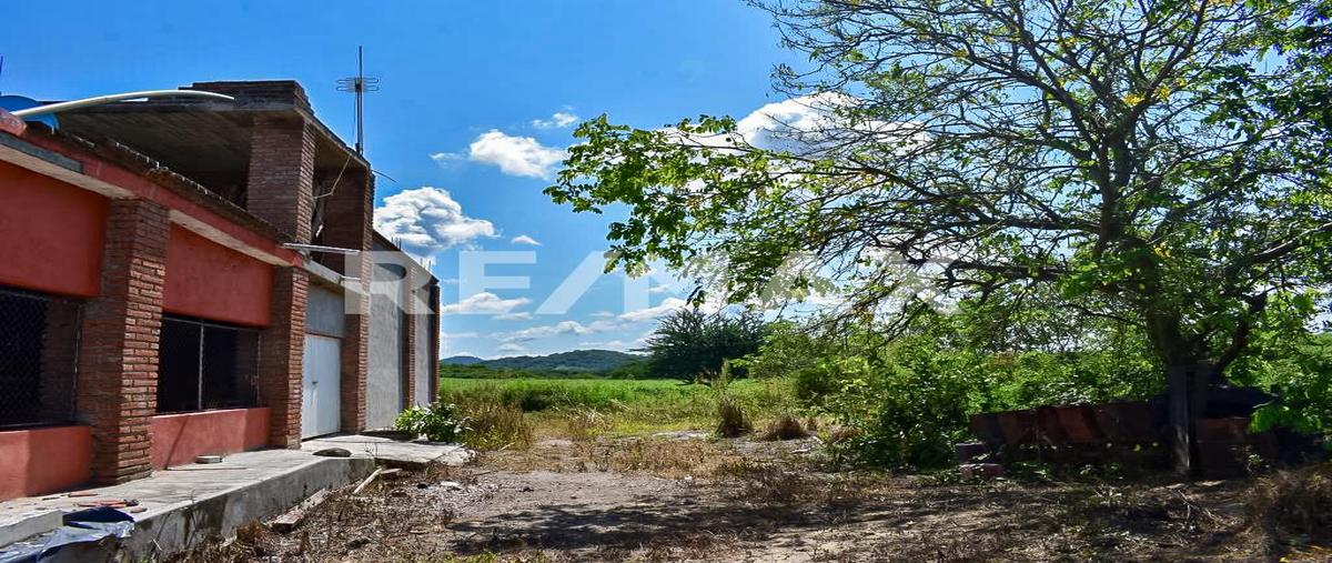 Foto de rancho en venta en carretera federal 40d mazatlán-durango , concordia, concordia, sinaloa, 0 No. 04