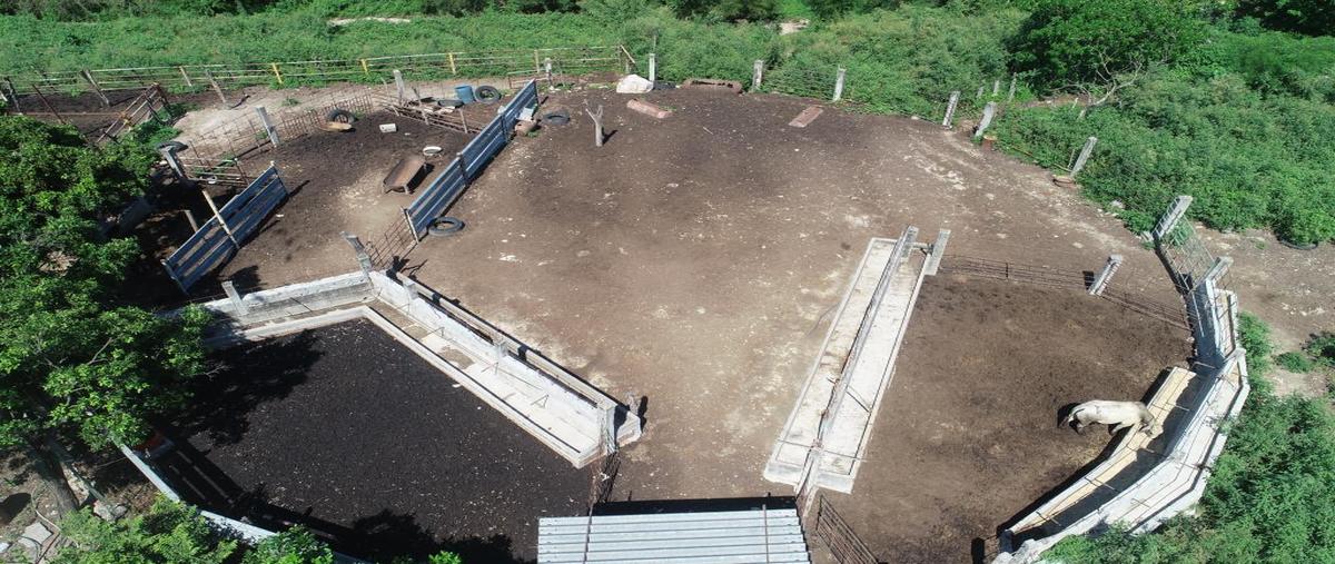 Foto de rancho en venta en carretera federal 40d mazatlán-durango , concordia, concordia, sinaloa, 27967094 No. 05