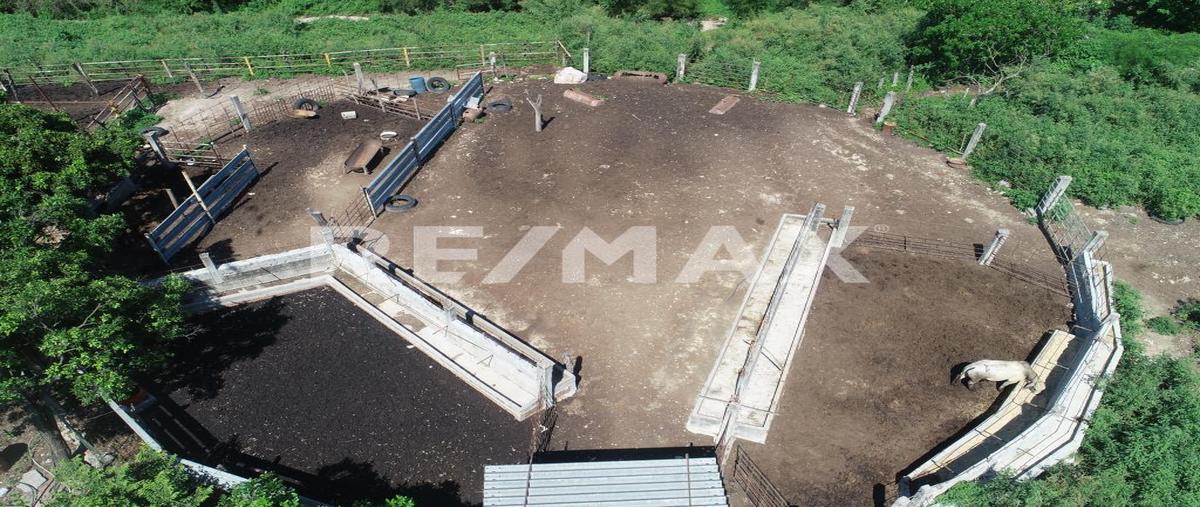 Foto de rancho en venta en carretera federal 40d mazatlán-durango , concordia, concordia, sinaloa, 0 No. 05