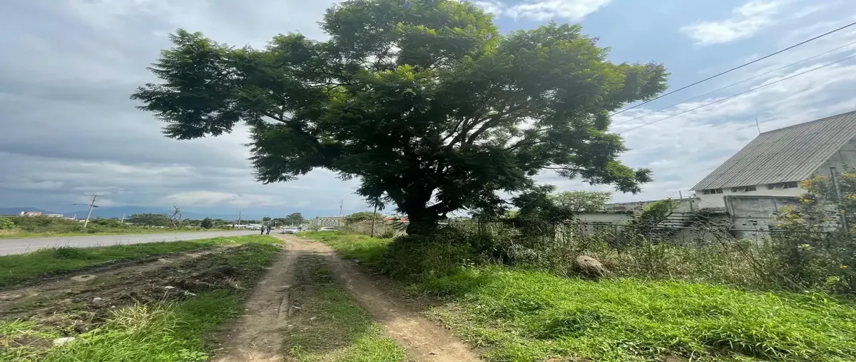 Foto de terreno comercial en venta en carretera federal a atlixco 20, santa ana yancuitlalpan, atlixco, puebla, 0 No. 01