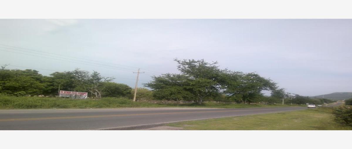 Foto de terreno comercial en venta en carretera federal alpuyeca a grutas kilometro 3.5, alpuyeca, xochitepec, morelos, 432902 No. 03