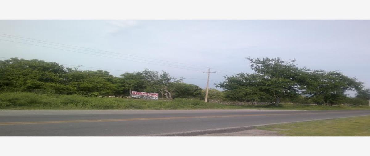 Foto de terreno comercial en venta en carretera federal alpuyeca a grutas kilometro 3.5, alpuyeca, xochitepec, morelos, 432902 No. 06