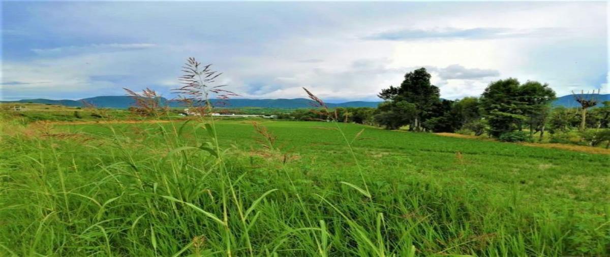 Foto de terreno comercial en venta en carretera federal atlixco 101, atlixco centro, atlixco, puebla, 0 No. 03