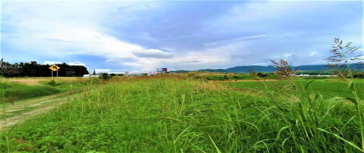 Foto de terreno comercial en venta en carretera federal atlixco 101, atlixco centro, atlixco, puebla, 30254975 No. 02
