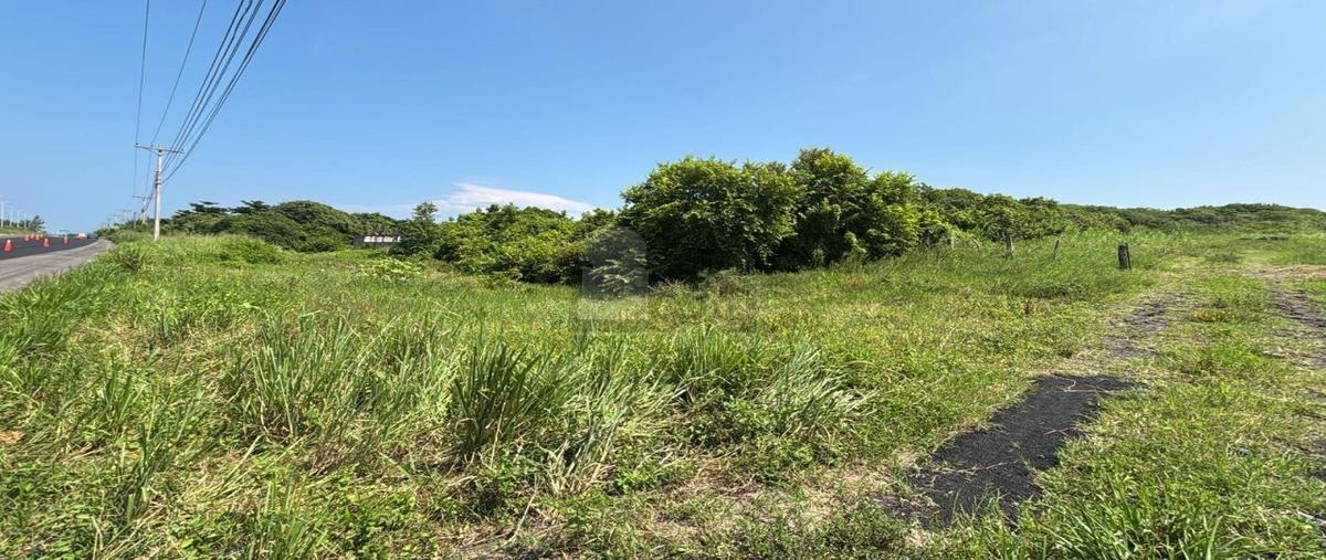 Foto de terreno comercial en carretera federal boca del río a antón lizardo 1, anton lizardo, alvarado, veracruz de ignacio de la llave, 0 foto 03 Foto de terreno comercial en venta en carretera federal boca del río a antón lizardo 1, anton lizardo, alvarado, veracruz de ignacio de la llave, 0 No. 03