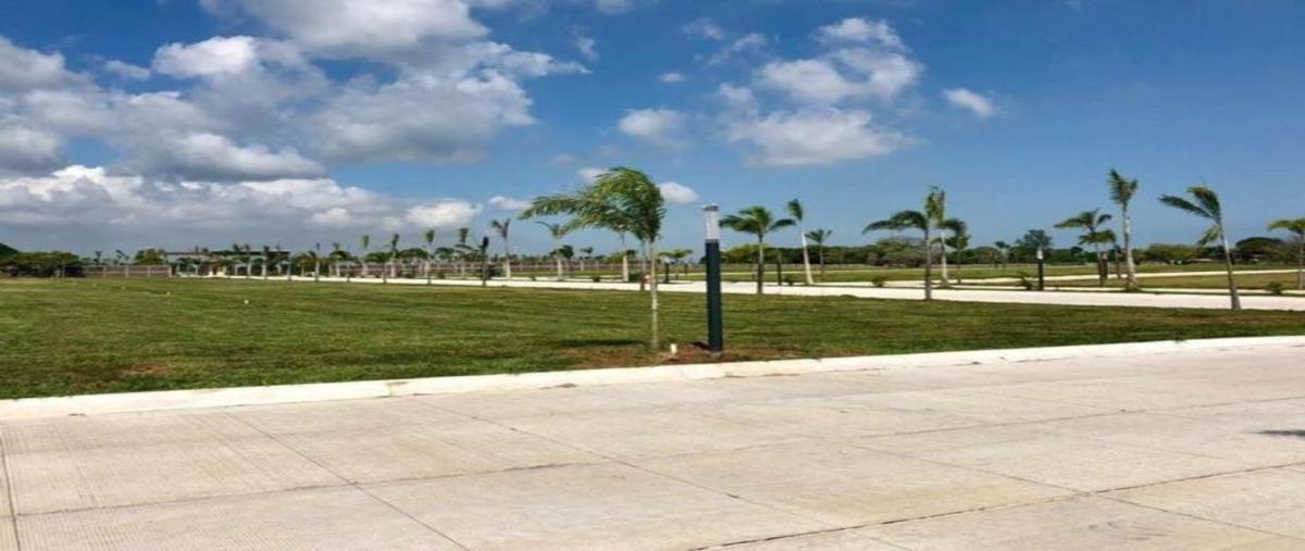 Foto de terreno habitacional en venta en carretera federal boca del río - córdoba kilometro 115 kilometro 115, el dorado, boca del río, veracruz de ignacio de la llave, 7553386 No. 03