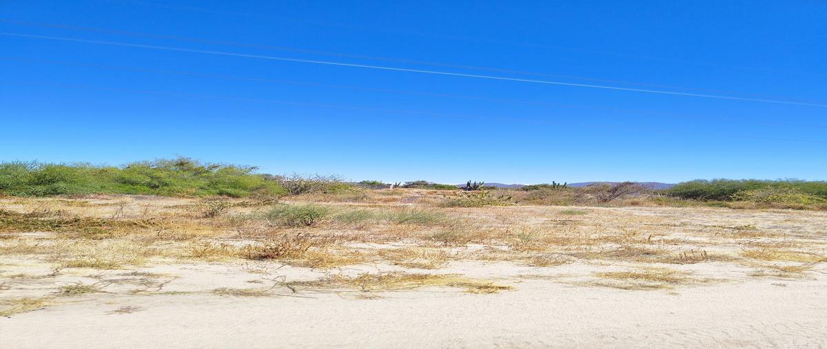 Foto de terreno habitacional en venta en carretera federal , calafia, la paz, baja california sur, 0 No. 05