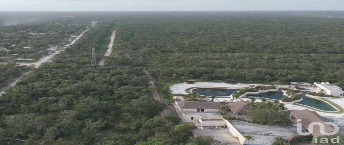 Foto de terreno habitacional en carretera federal cancun-chetumal , puerto aventuras, solidaridad, quintana roo, 0 foto 01 Foto de terreno habitacional en venta en carretera federal cancun-chetumal , puerto aventuras, solidaridad, quintana roo, 0 No. 01