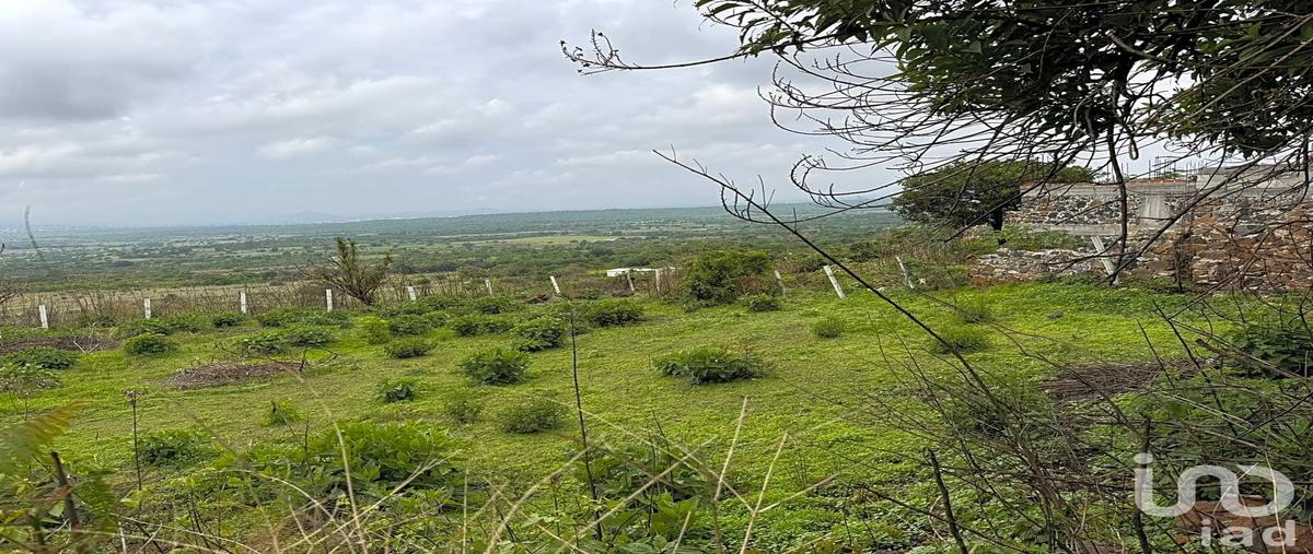 Foto de terreno habitacional en venta en carretera federal cuernavaca - tepoztlán , huachinantilla, tepoztlán, morelos, 0 No. 03