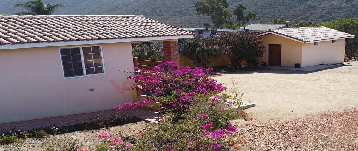 Foto de rancho en venta en carretera federal ensenada-tecate , el sauzal, ensenada, baja california, 30701584 No. 05