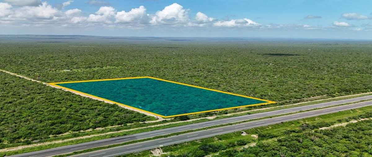 Foto de terreno habitacional en venta en carretera federal kilometro 19 , san pedro, la paz, baja california sur, 30270959 No. 04