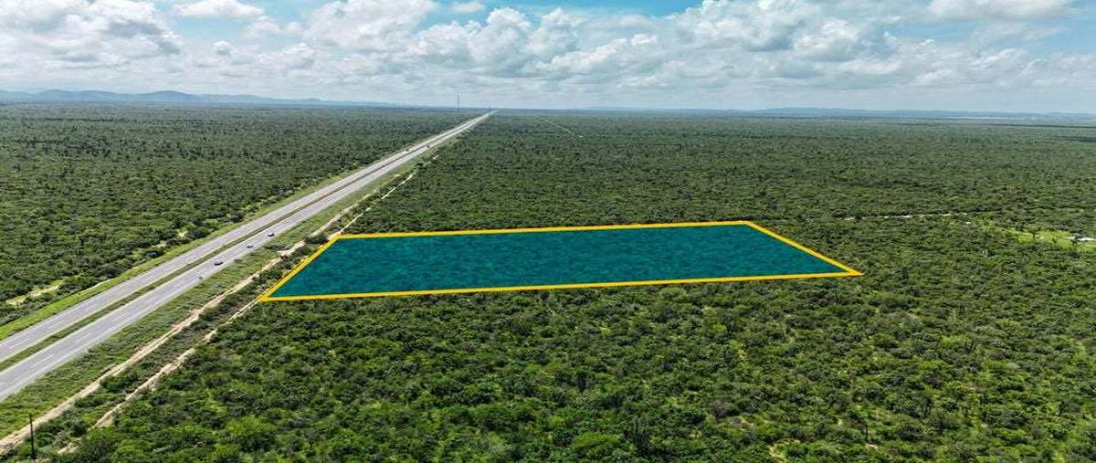 Foto de terreno habitacional en venta en carretera federal kilometro 19 , san pedro, la paz, baja california sur, 30270959 No. 05