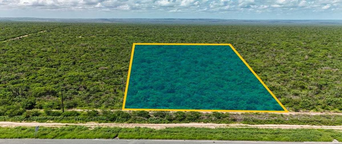 Foto de terreno habitacional en venta en carretera federal kilometro 19 , san pedro, la paz, baja california sur, 30270960 No. 03