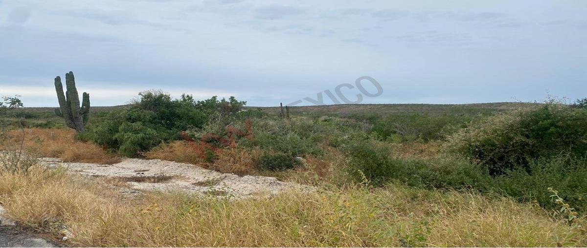 Foto de terreno habitacional en carretera federal la paz-los cabos , pueblo nuevo, la paz, baja california sur, 30702237 foto 03 Foto de terreno habitacional en venta en carretera federal la paz-los cabos , pueblo nuevo, la paz, baja california sur, 30702237 No. 03
