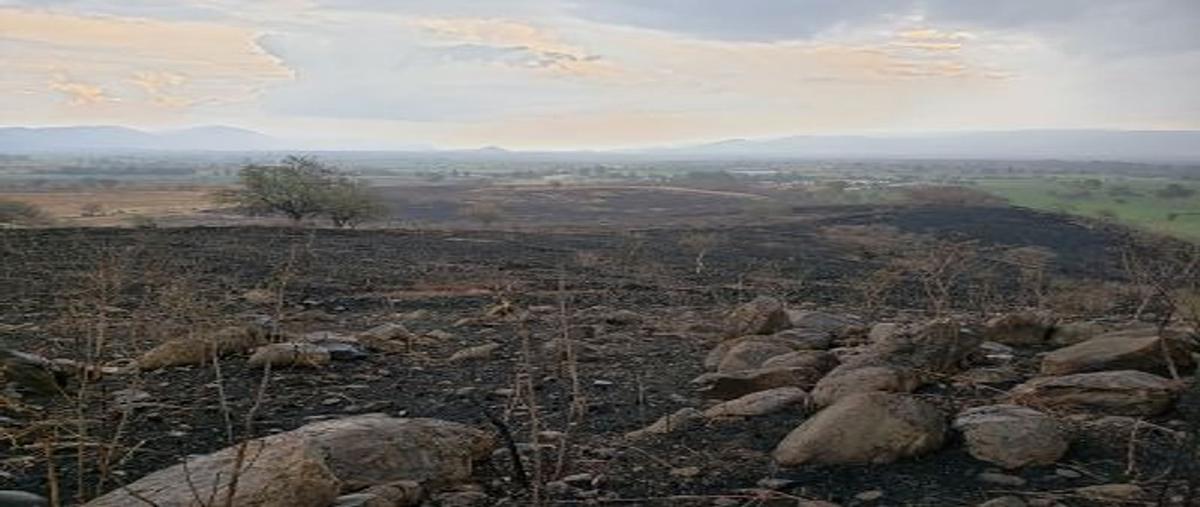 Foto de terreno habitacional en carretera federal , la resolana, acatlán de juárez, jalisco, 25271896 foto 02 Foto de terreno habitacional en venta en carretera federal , la resolana, acatlán de juárez, jalisco, 25271896 No. 02