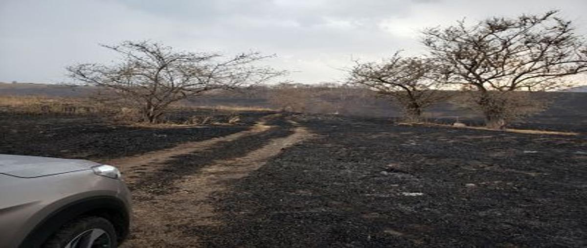 Foto de terreno habitacional en carretera federal , la resolana, acatlán de juárez, jalisco, 25271896 foto 04 Foto de terreno habitacional en venta en carretera federal , la resolana, acatlán de juárez, jalisco, 25271896 No. 04