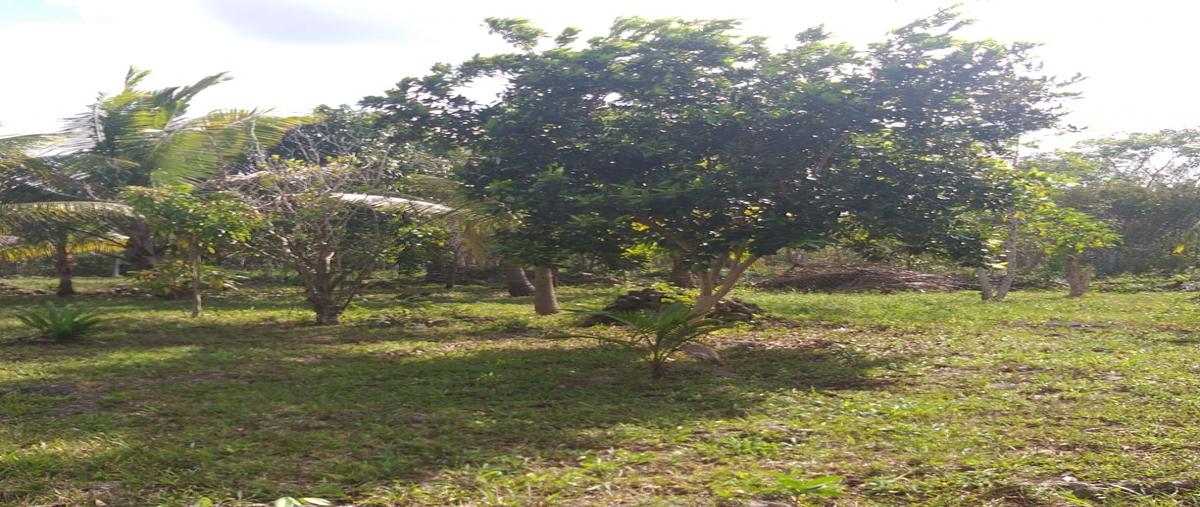 Foto de terreno habitacional en carretera federal leona vicario , leona vicario, puerto morelos, quintana roo, 8308338 foto 02 Foto de terreno habitacional en venta en carretera federal leona vicario , leona vicario, puerto morelos, quintana roo, 8308338 No. 02