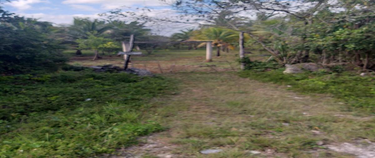 Foto de terreno habitacional en carretera federal leona vicario , leona vicario, puerto morelos, quintana roo, 8308338 foto 04 Foto de terreno habitacional en venta en carretera federal leona vicario , leona vicario, puerto morelos, quintana roo, 8308338 No. 04