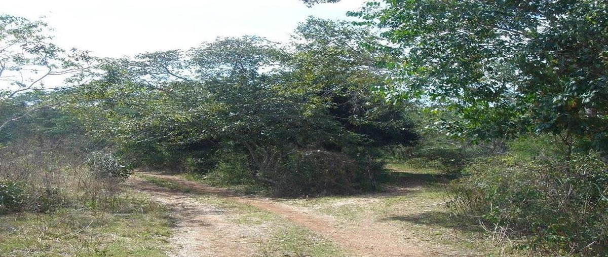 Foto de terreno habitacional en venta en carretera federal mérida - valladolid , sudzal, sudzal, yucatán, 30527233 No. 04